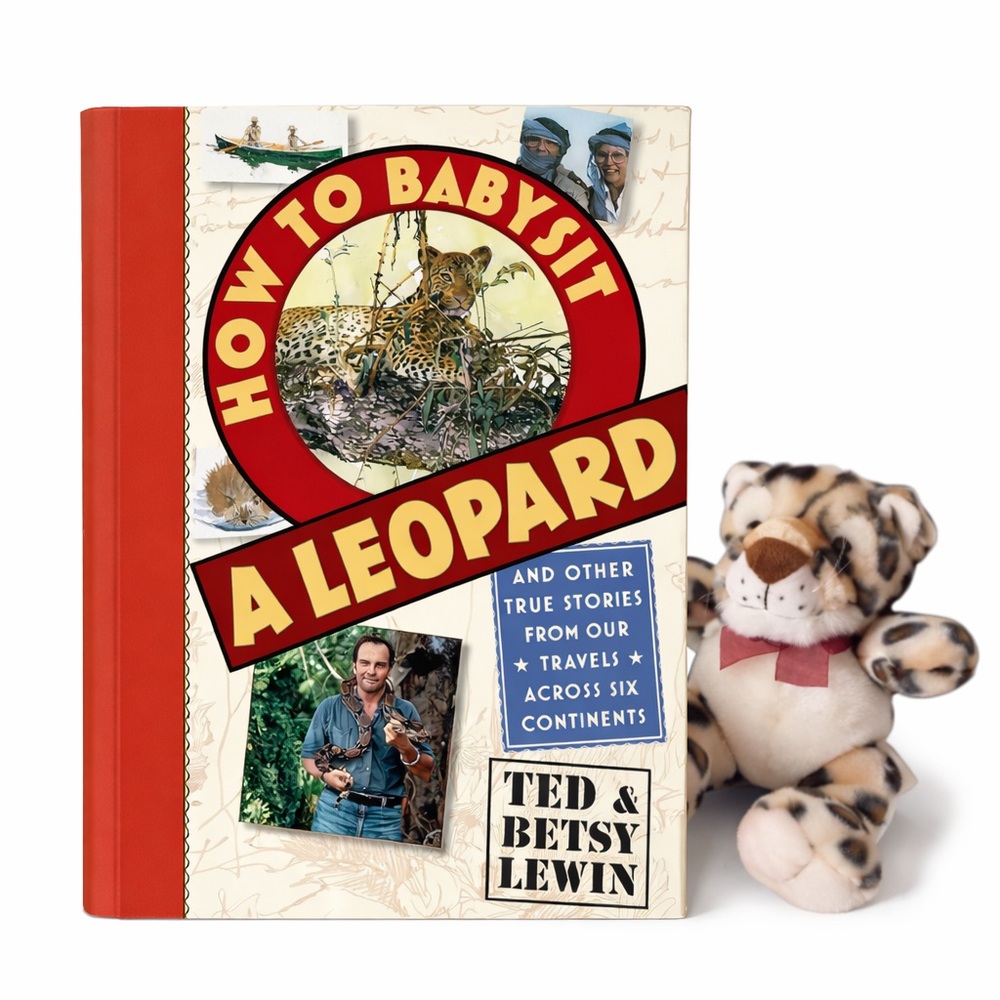 HOW TO BABYSIT A LEOPARD Book Hardback Nonfiction by Ted & Betsy Lewin Ages 8-12